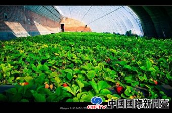 ��������������ƶ�����������мƻ�Ͷ��3.6��Ԫ�ƽ���ƶ