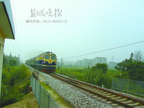 wenzx150631_