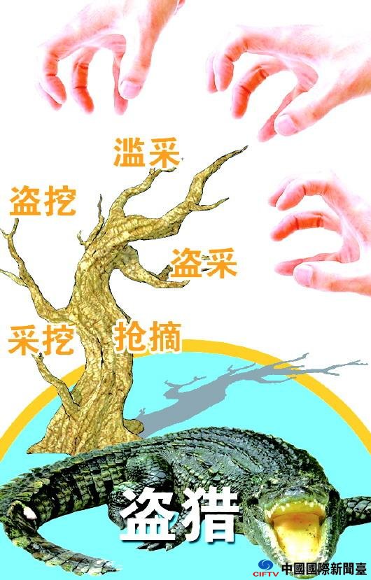 һҳ