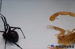 綾֮սЫսڹѸ֩