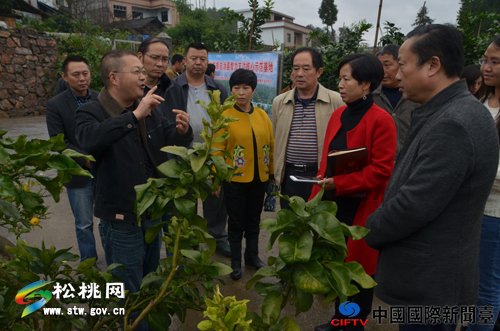 张光银到松桃调研智力支边工作