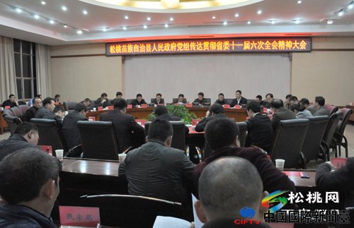 松桃政府党组传达贯彻省委十一届六次全会精神