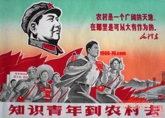  ֪ʶɽ硱רʷϵ