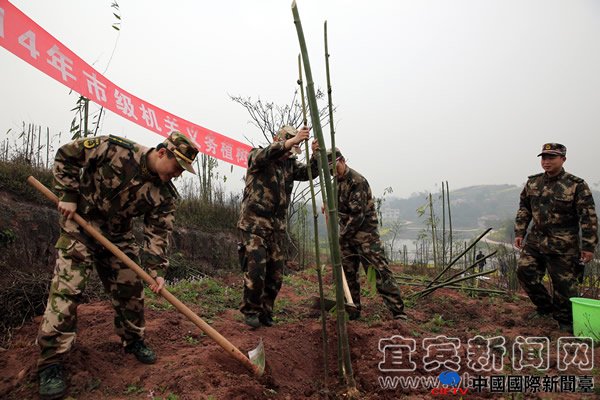 xinhua_sc_yibin20143111653232907678