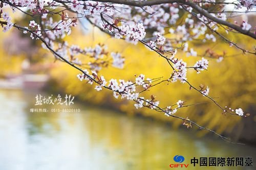 chent160332_