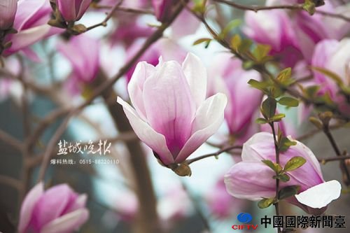 chent160329_