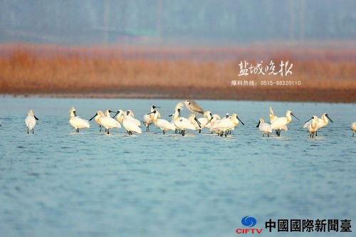 wangyj16047_