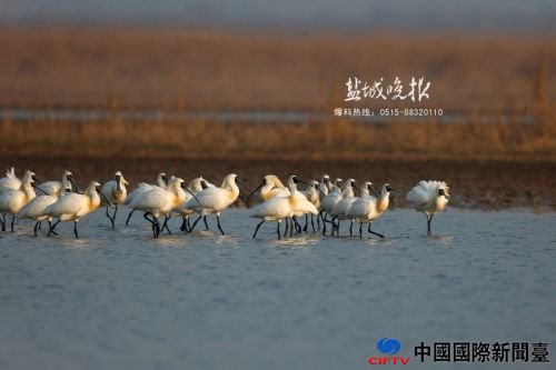 wangyj16043_