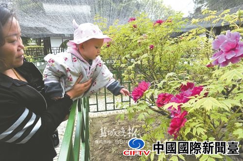 zcyang160422_