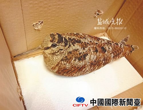 wenzx16046_