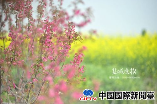 taoqf160459_