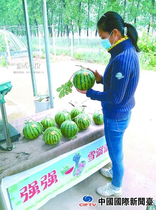 zhangyf160567_