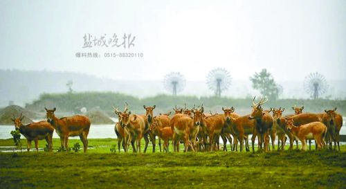 taoqf160580_
