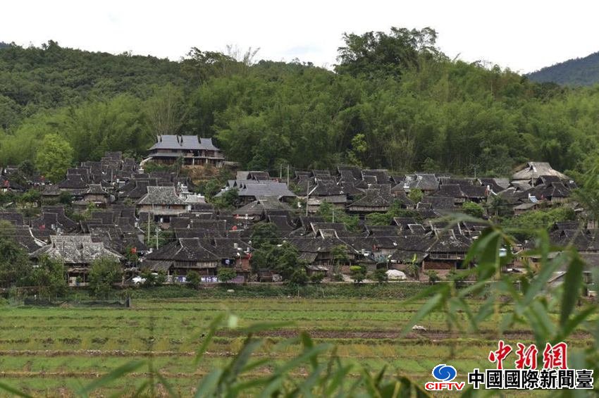 5��23�գ���̲��ͳ����Ŵ���ȫ����