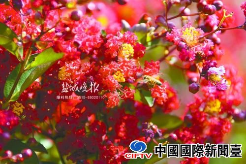 chent160818_