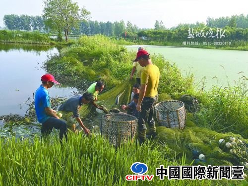 zhangyf160894_