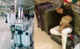 ѷߣRimowaBricsʮ