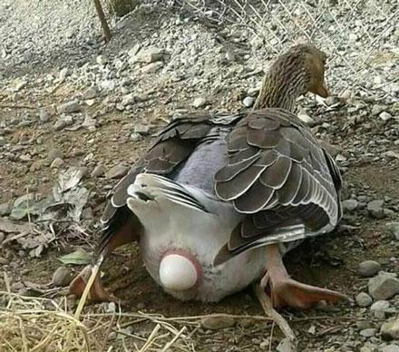 ţɻһŮ ²ѻ繷