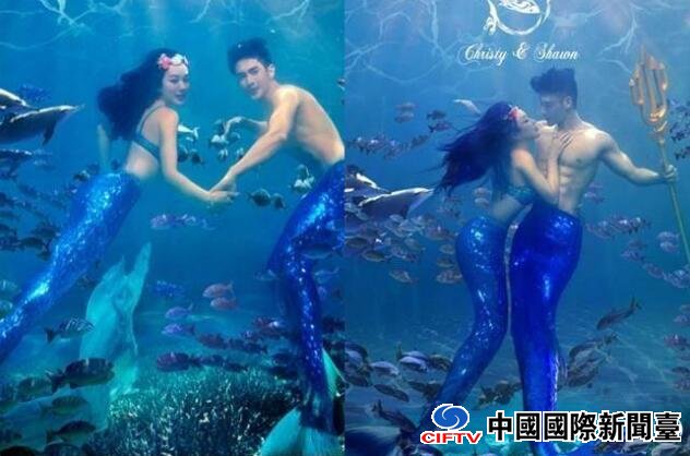 羻ع 㹫