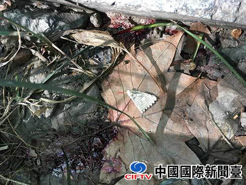 94岁网红奶奶闹市卖鞋垫被双截棍打成重伤
