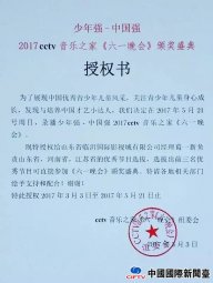 2017CCTVǿйǿһᡷĿѡפʹӰ