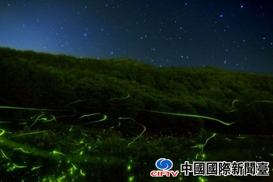 ձշ羰ߣөҹշλΨ