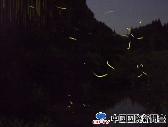ձշ羰ߣөҹշλΨ