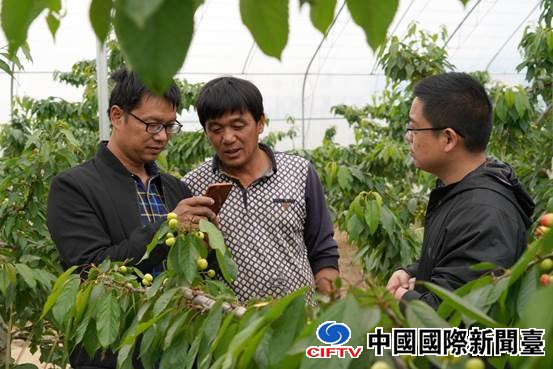 说明: DSC00717_副本 说明: DSC00717_副本