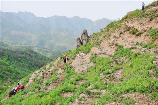 �����ֳ� ������ ��