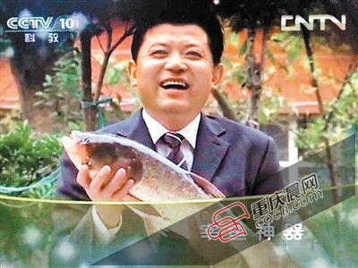 ΪȰӡƵϽͼ