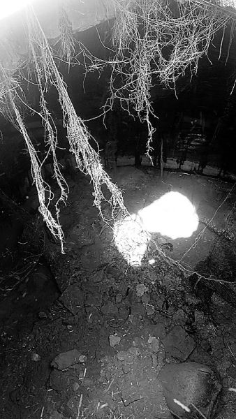 ���ؾ������ع�Ĺ �����ľ��޹׹�ʬ