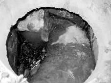 ţ�����ھ��� 