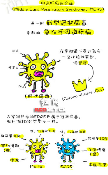 ҽѧֻ:1ӿMERS(ͼ)